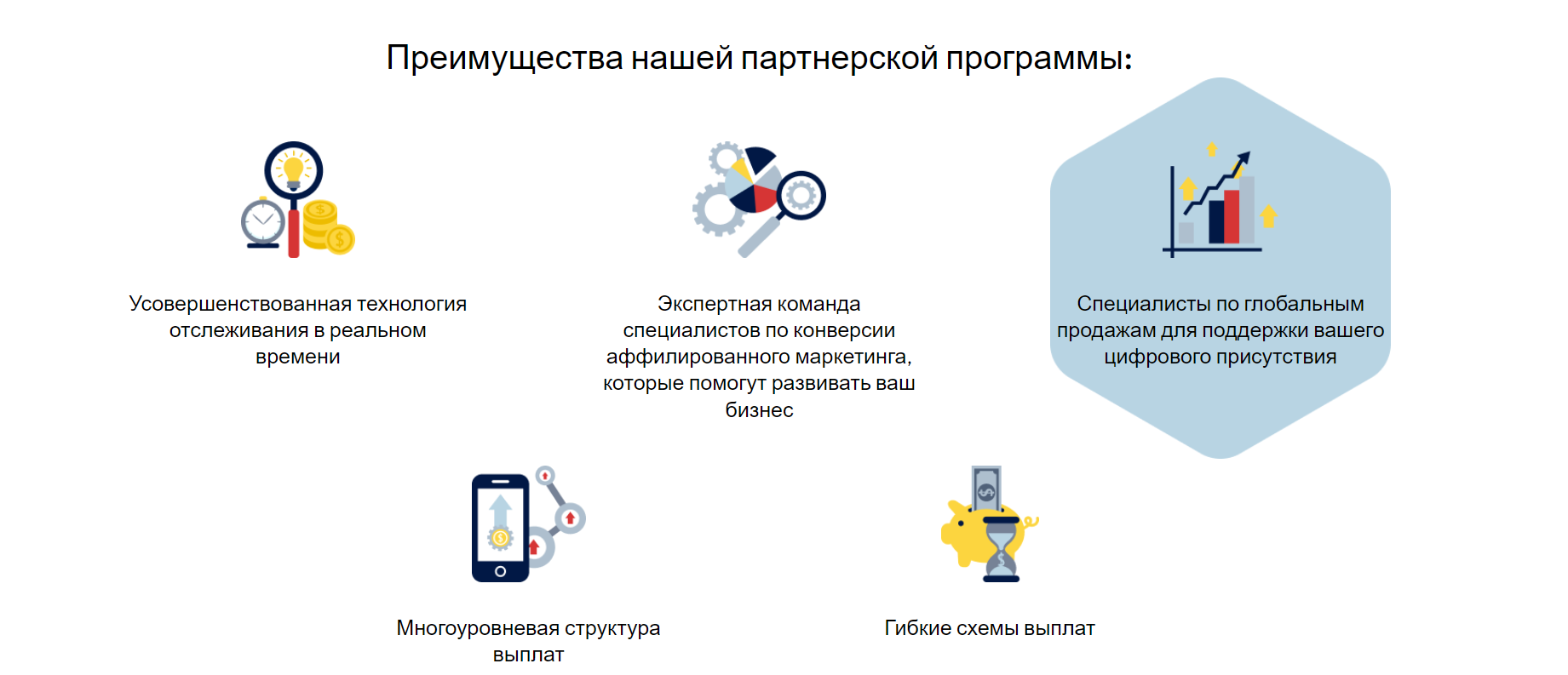 IB Platform