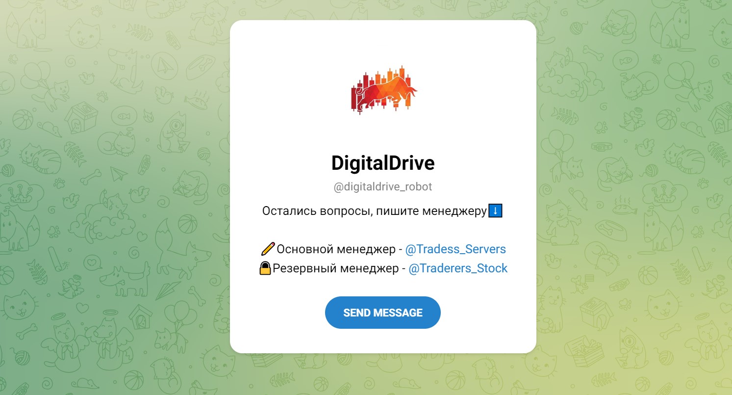 DigitalDrive