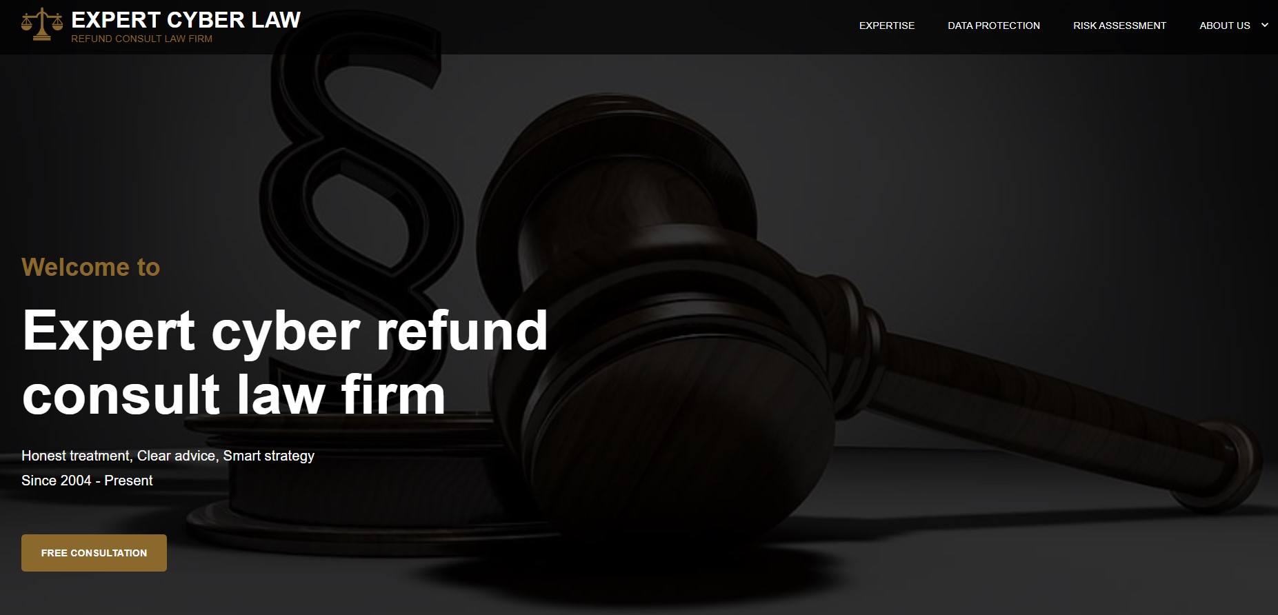 Expert CyberLaw