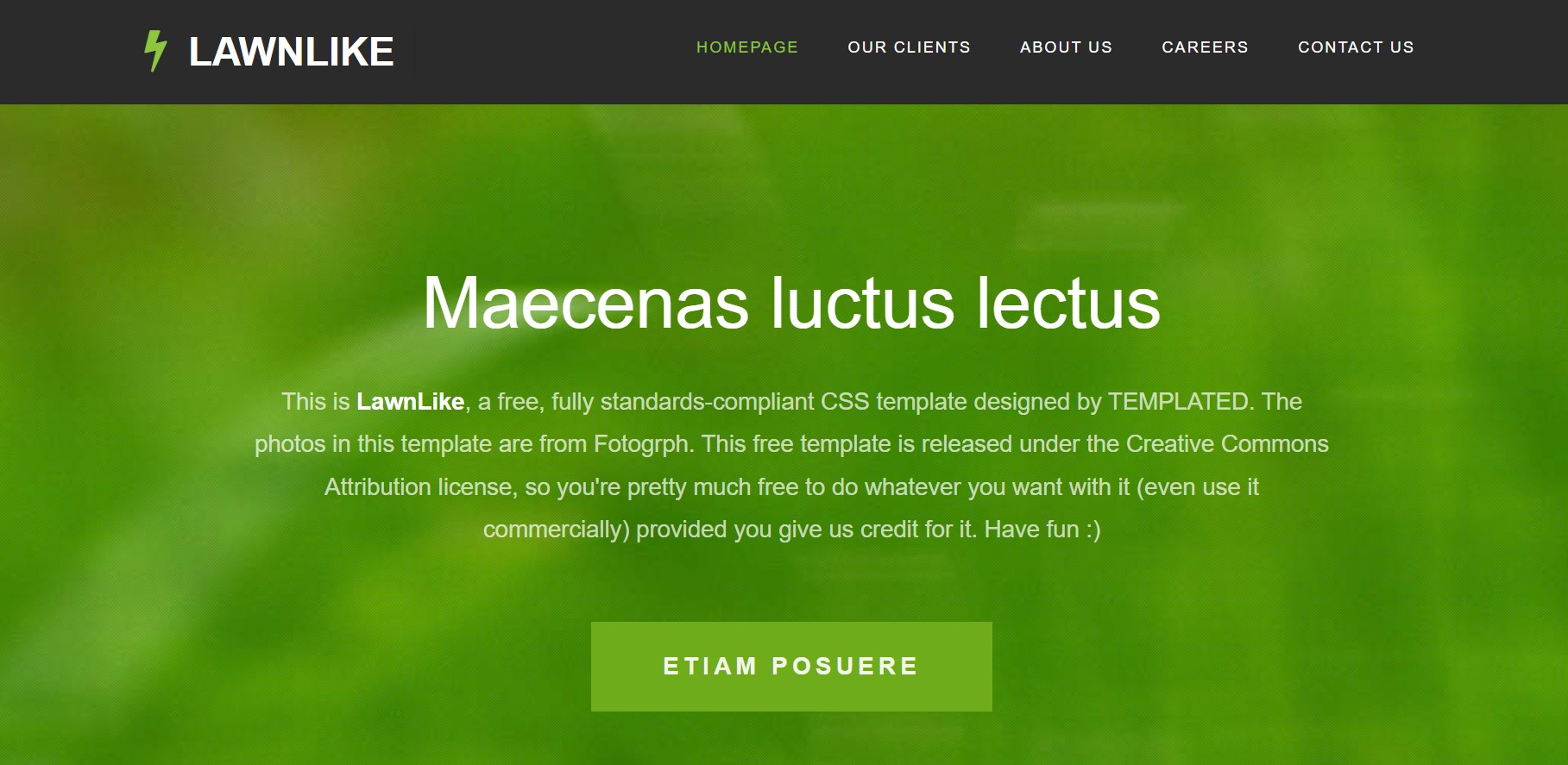 Maecenas