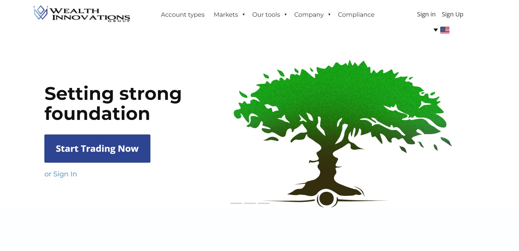 Wealth Innovations Group