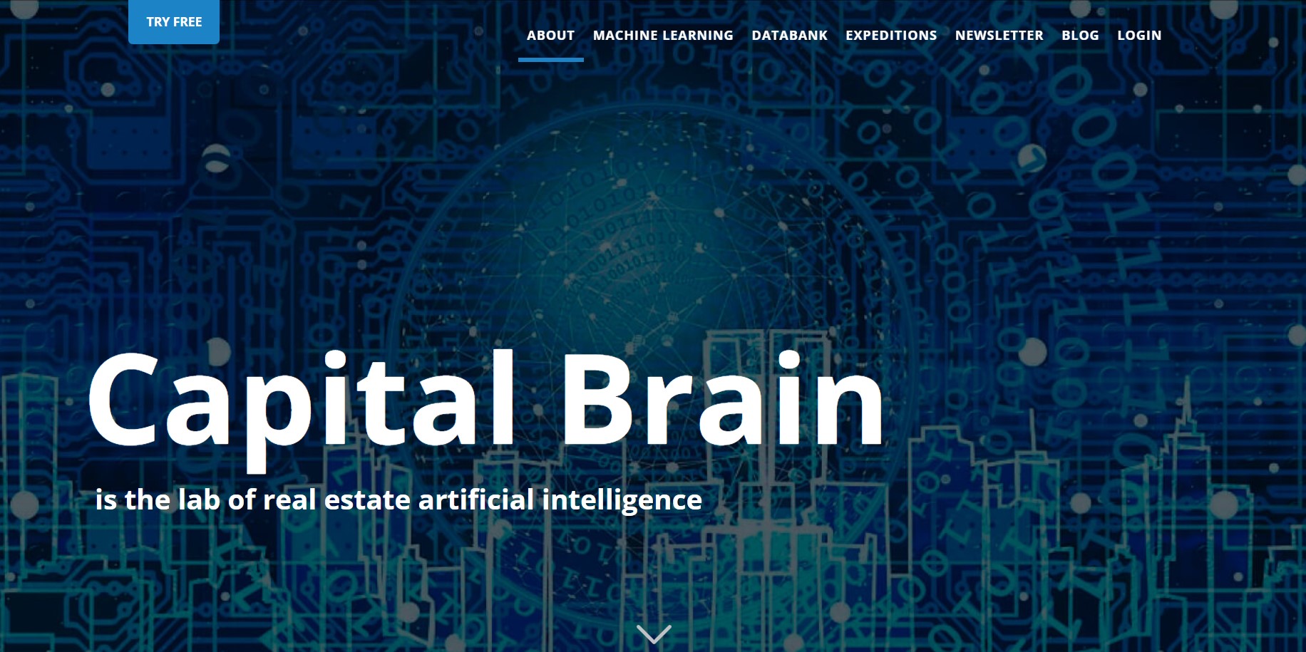 CapitalBrain