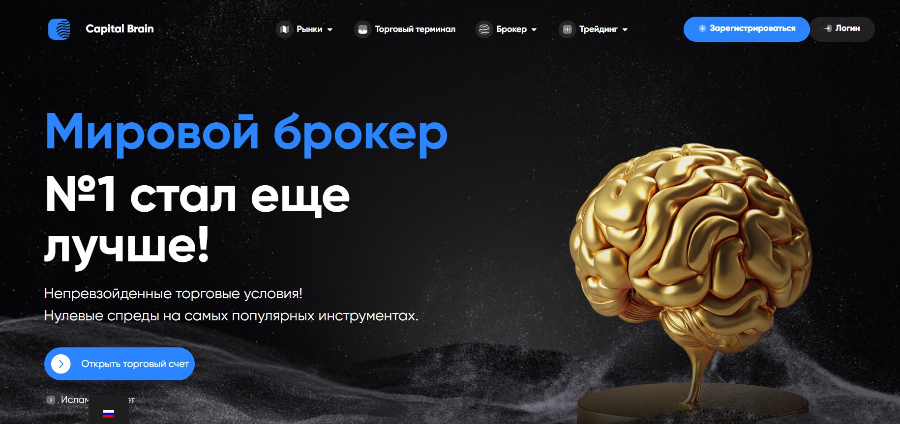 Capital Brain