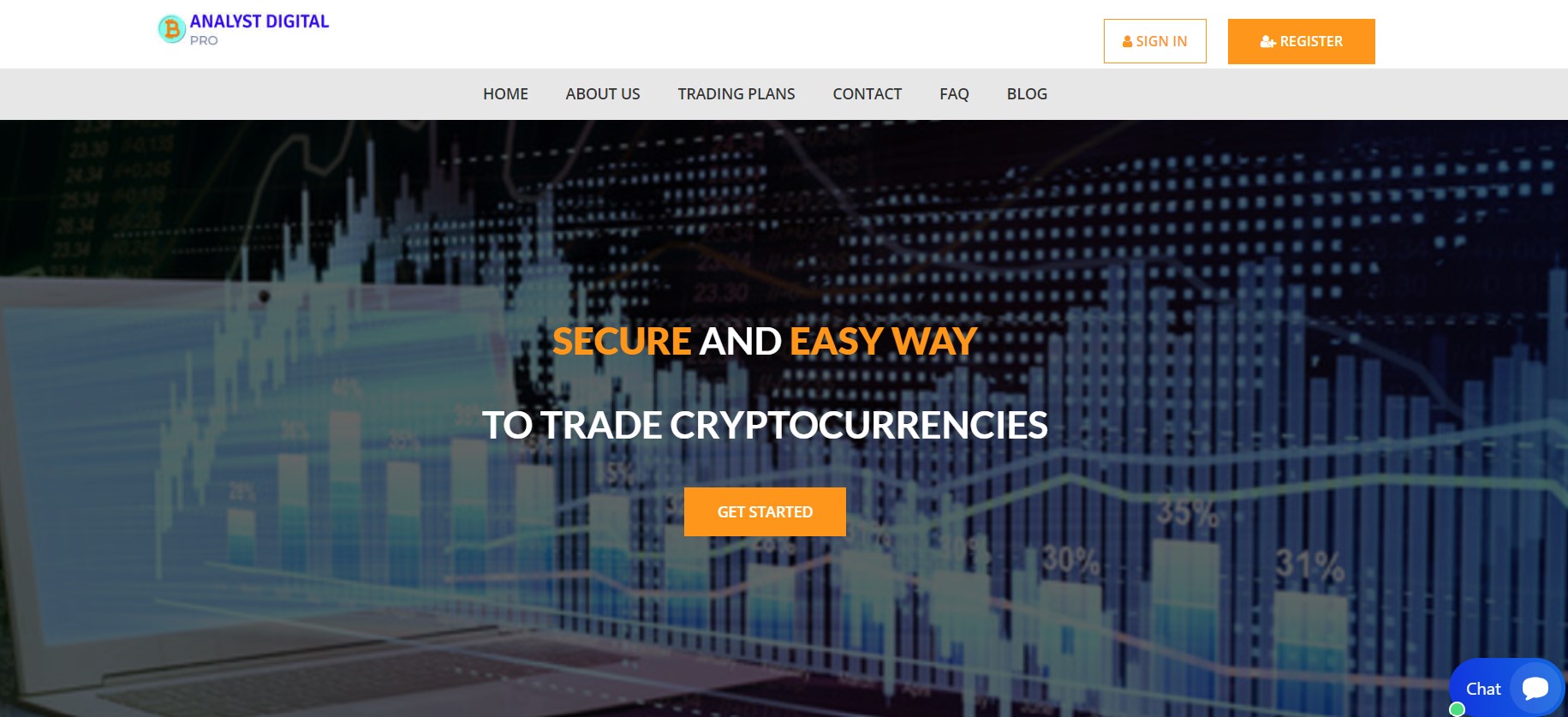 Analyst Digital Pros Inc