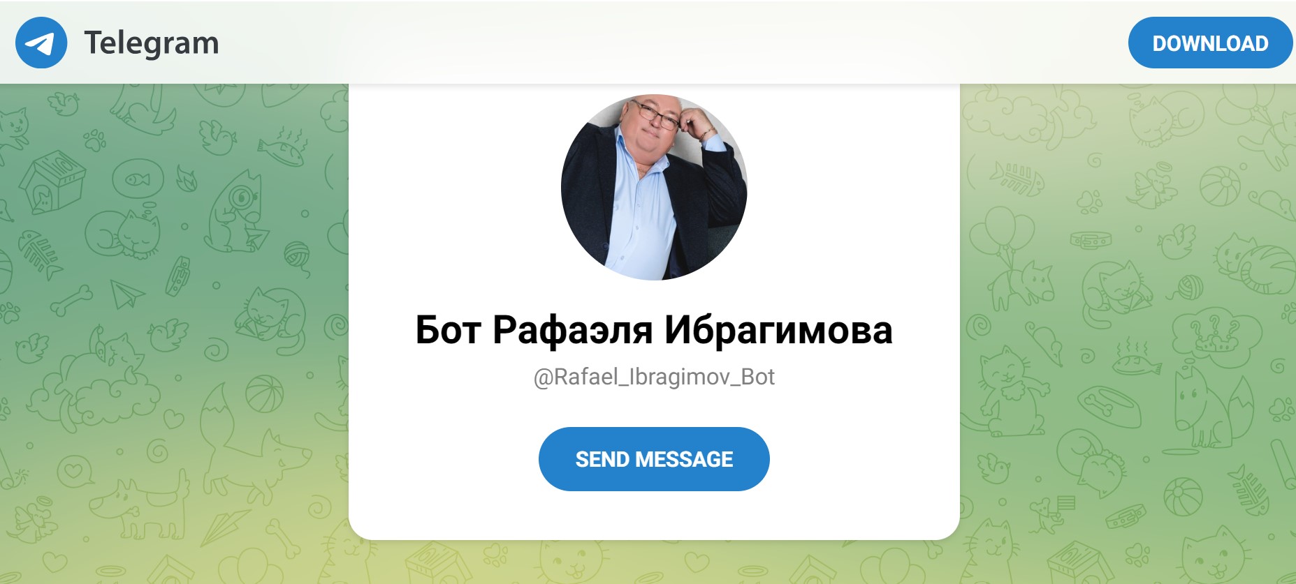 Бот Рафаэля Ибрагимова