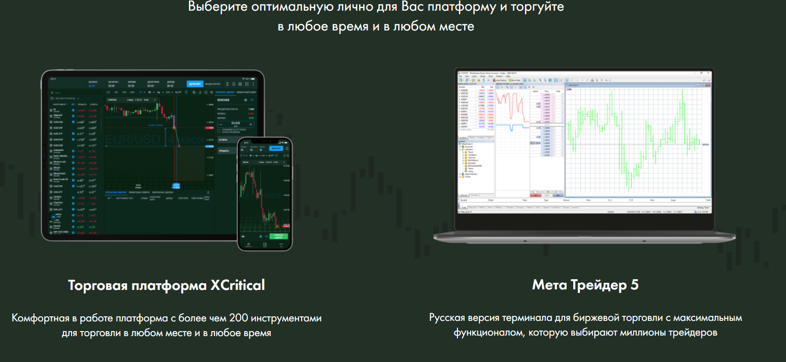 Veles Group