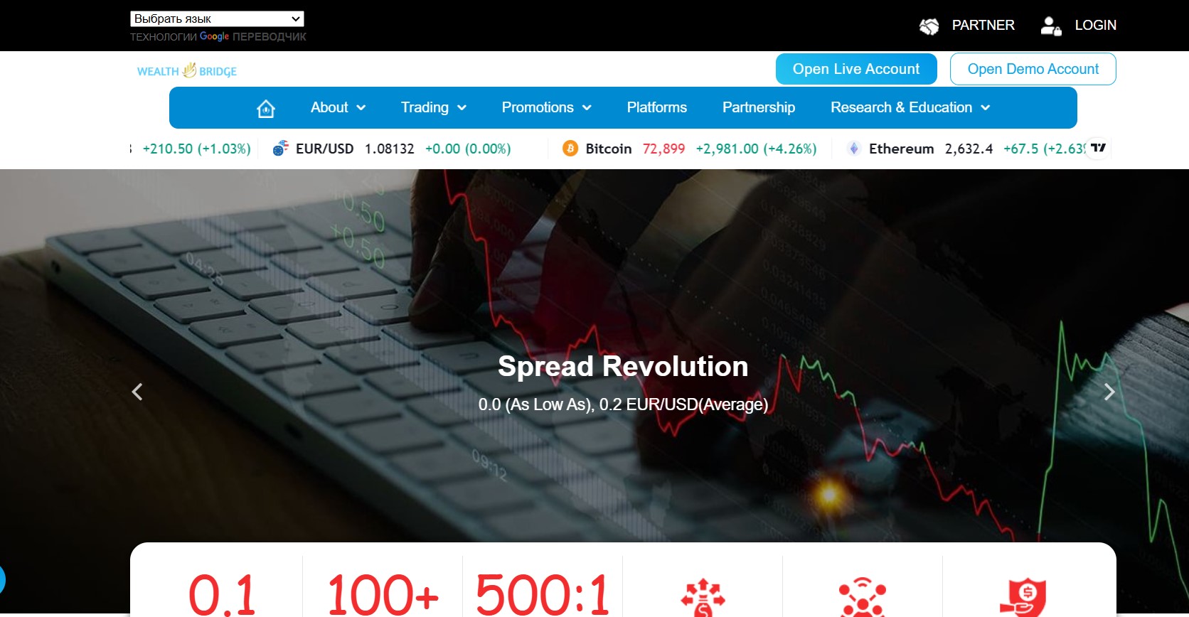 Wealthnest Bridge