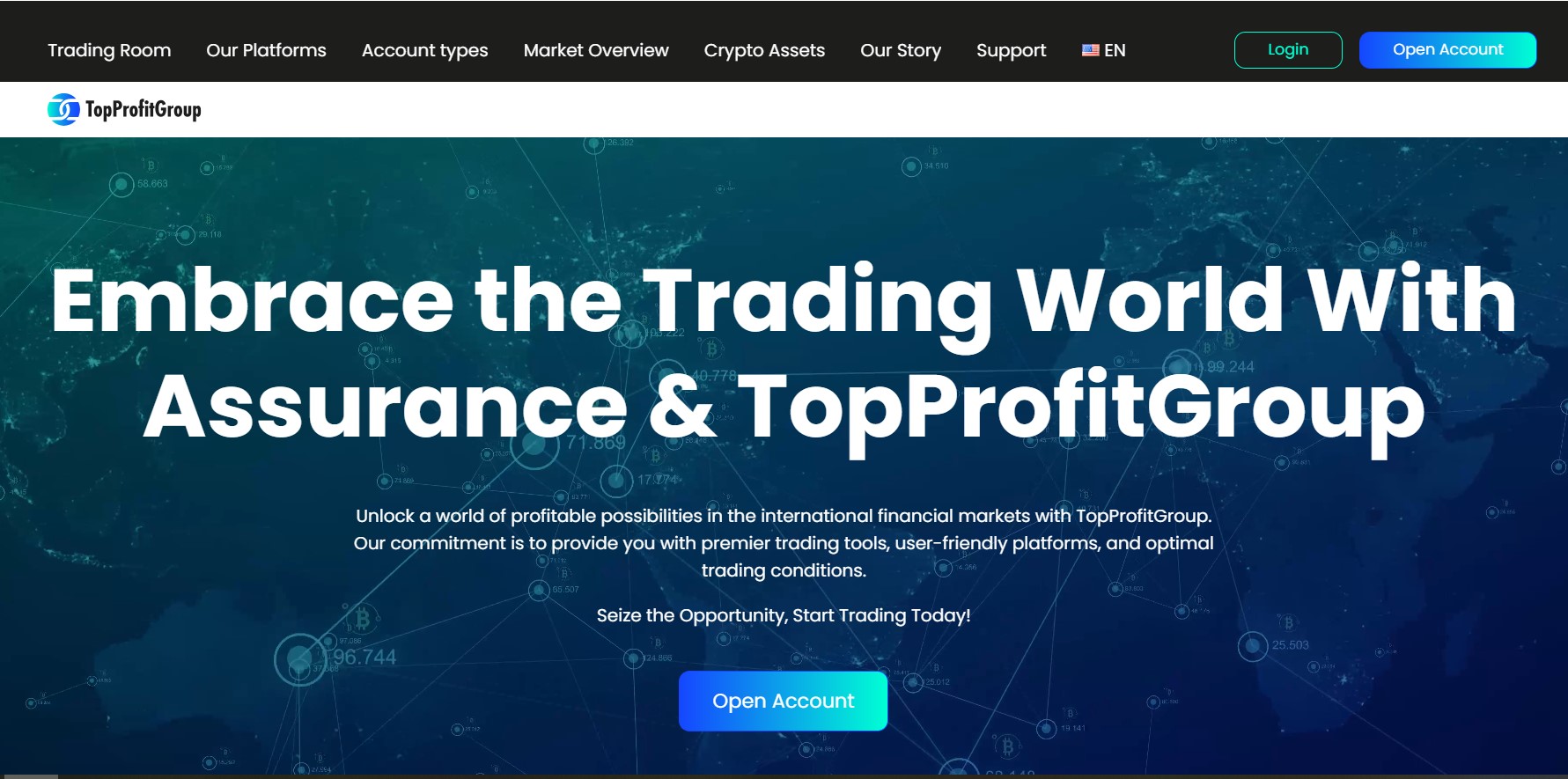 Top Profit Group