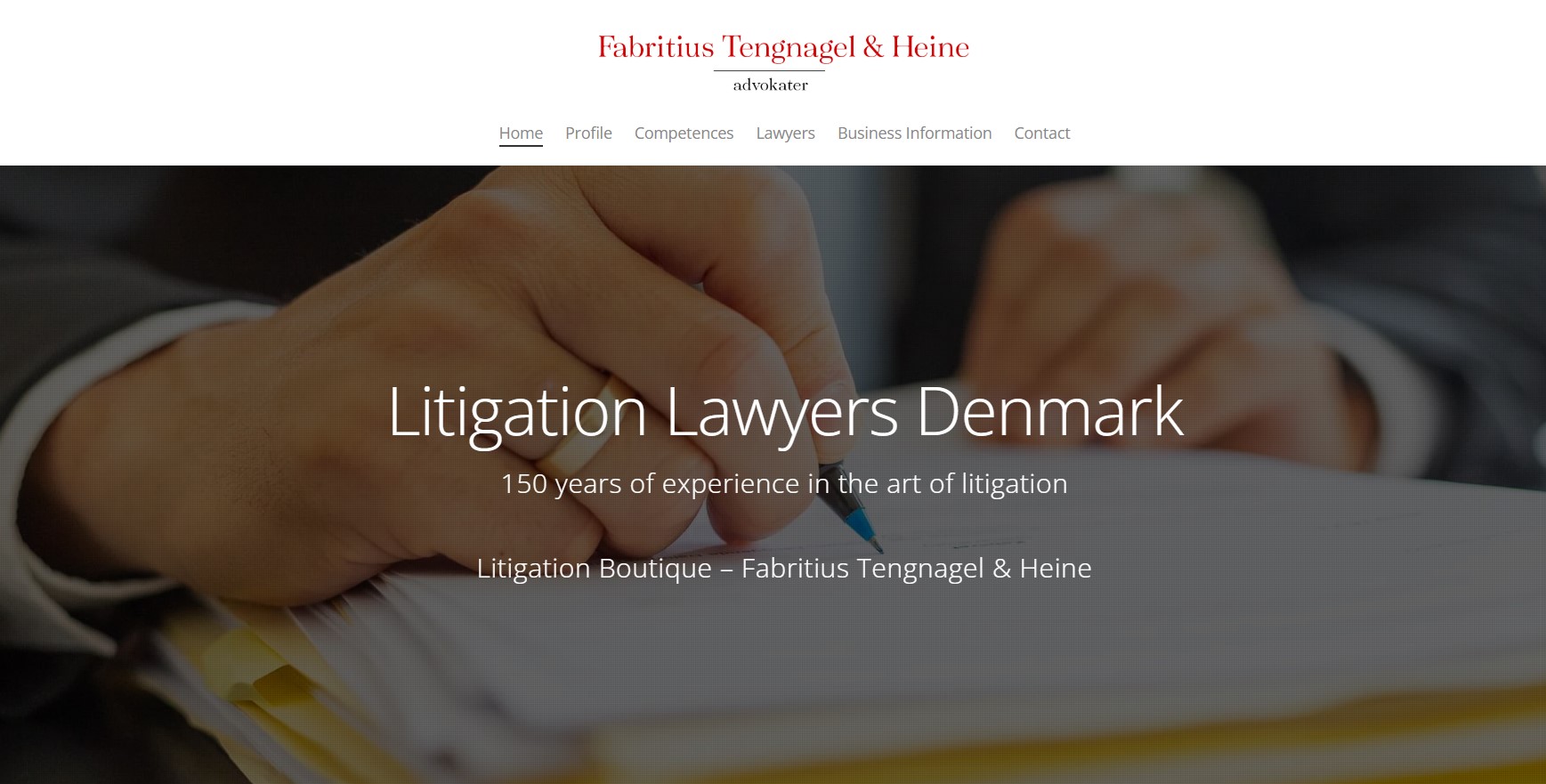 Litigation Lawyers