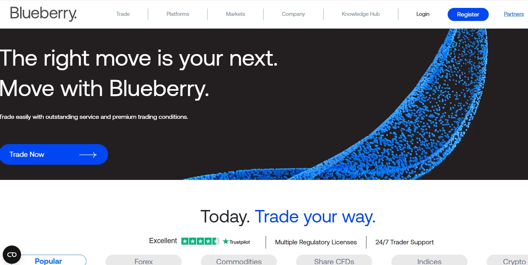 Blueberry Markets